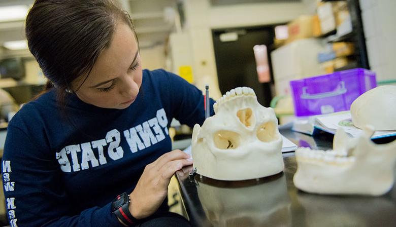 一个学生在生物实验室里检查一个头骨